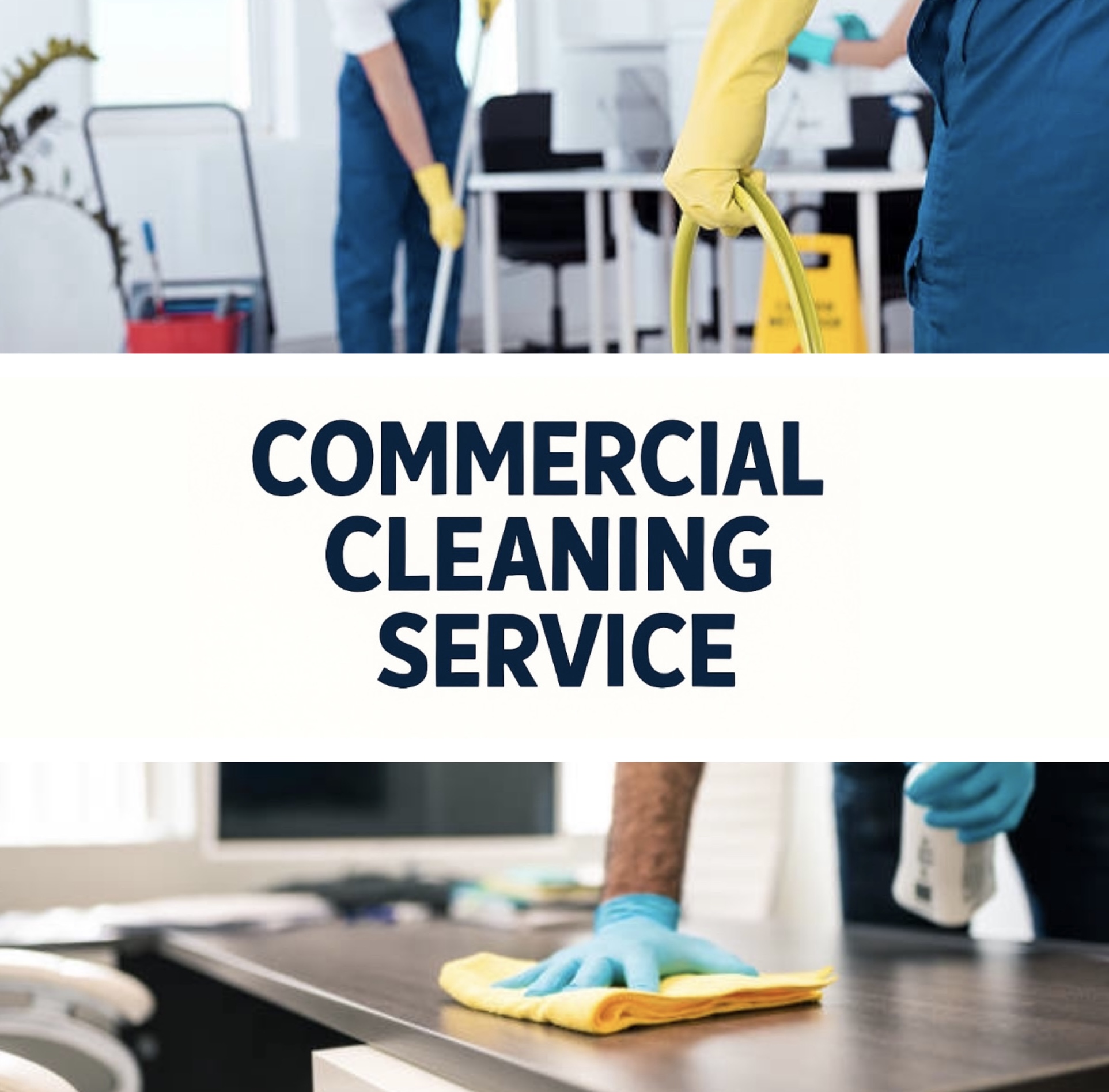 Professional Cleaning Service